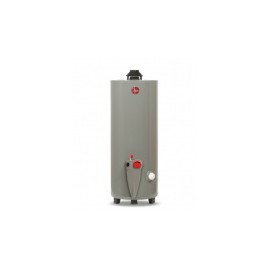 Rheem Calentador de Agua 29V20S, Gas L.P., 76 Litros/Hora, Gris