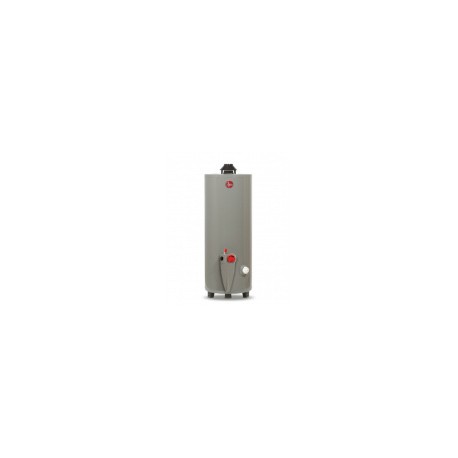 Rheem Calentador de Agua 29V20S, Gas L.P., 76 Litros/Hora, Gris