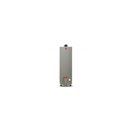 Rheem Calentador de Agua 29V40, Gas Natural, 152 Litros/Hora, Gris