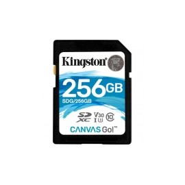 Memoria Flash Kingston Canvas Go!, 256GB SDXC UHS-I Clase 10